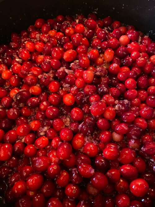 Festive Edible Gifts! Cranberry Chutney